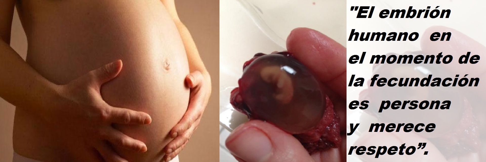 El embrión es un ser humano individual, no una parte de la madre