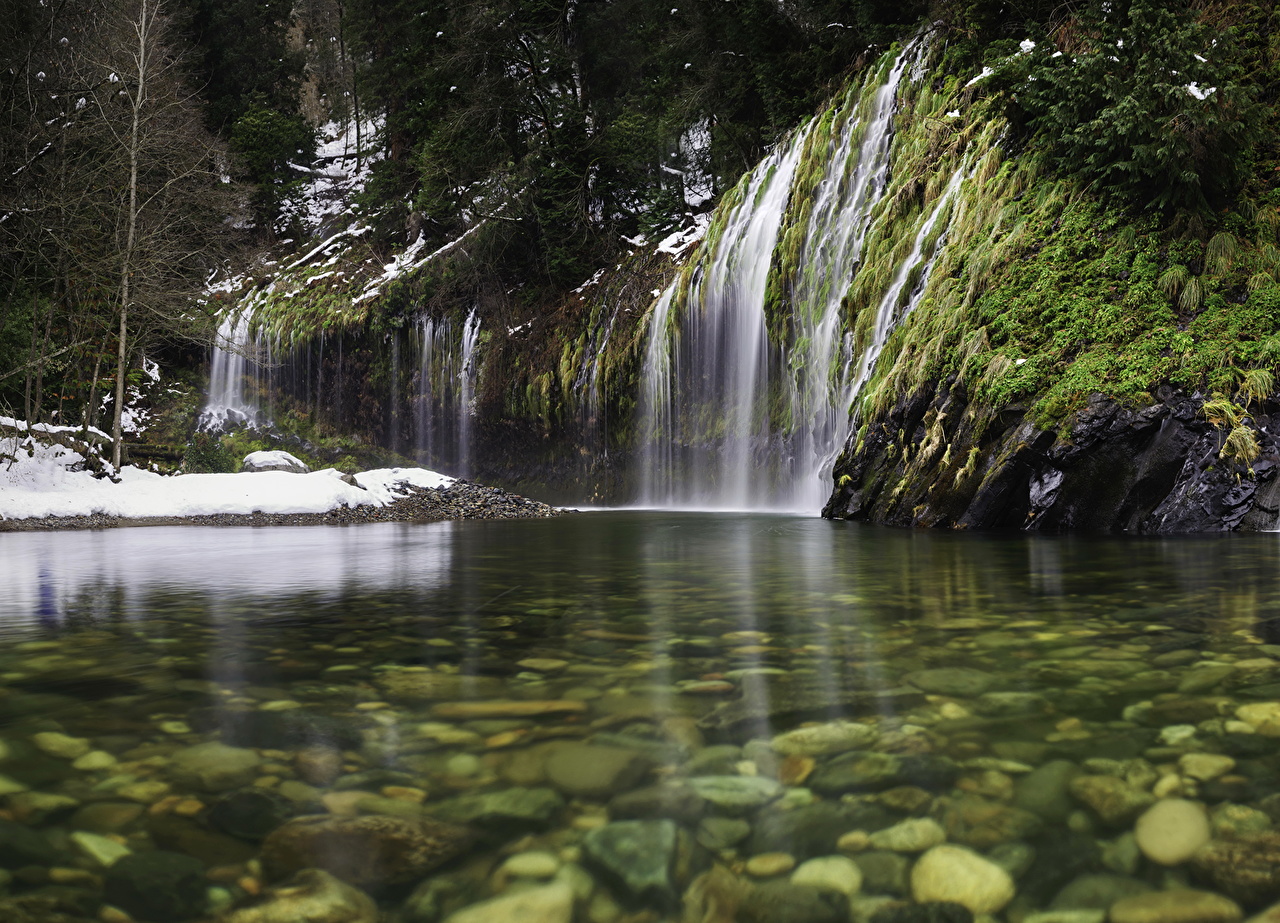 Francisco pide por el cuidado de la creación y afirma que el agua es un bien primordial