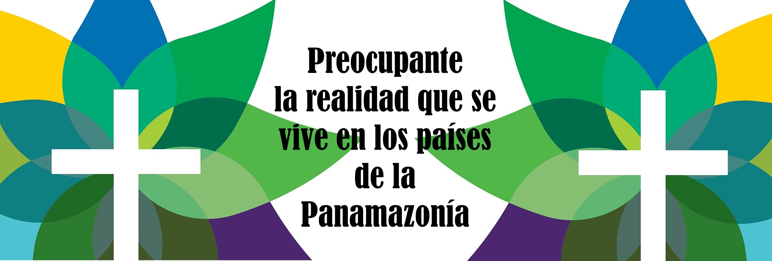 Es preocupante la realidad que se vive en los países de la Panamazonía