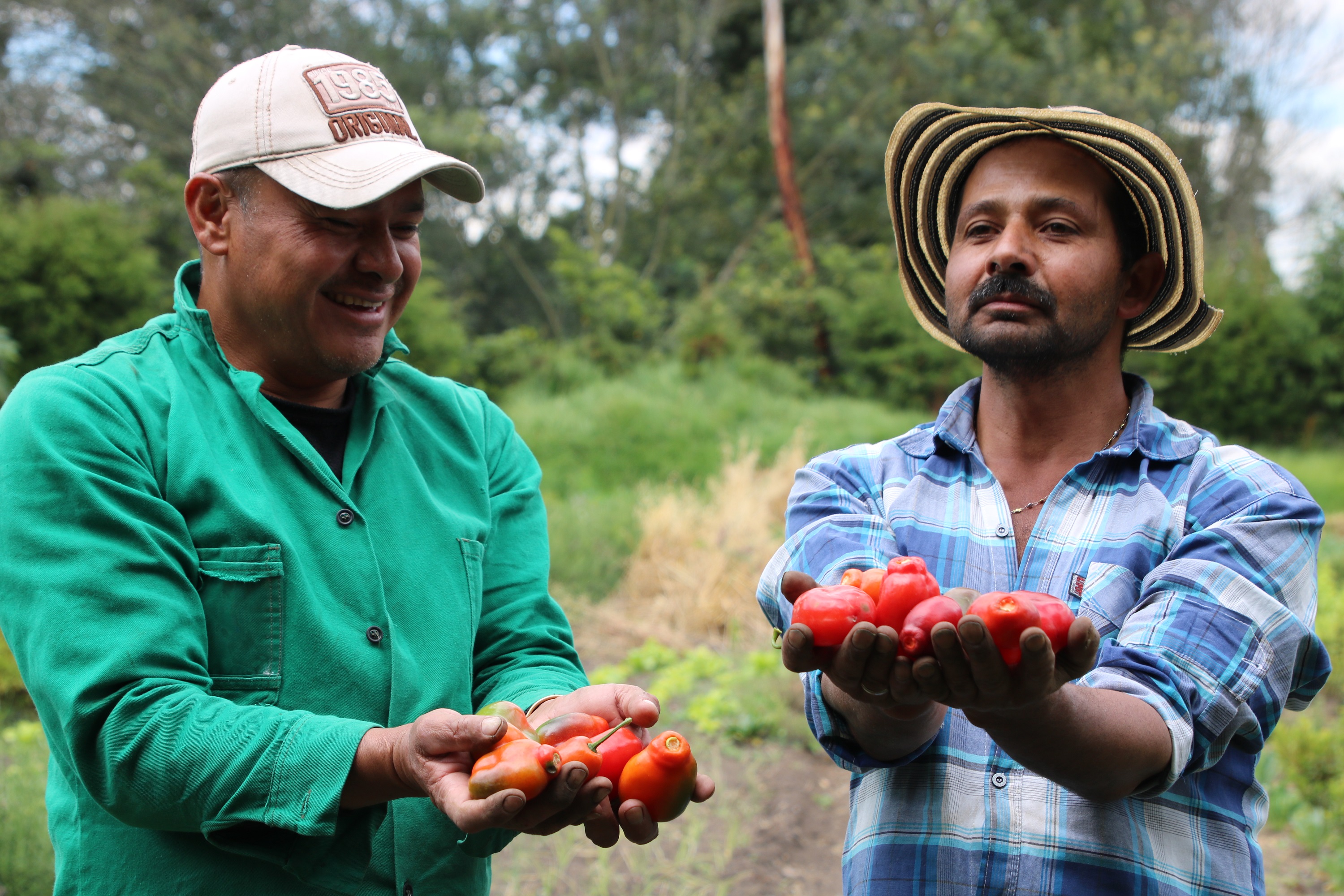 El Minuto de Dios en la III Jornada Mundial de los Pobres