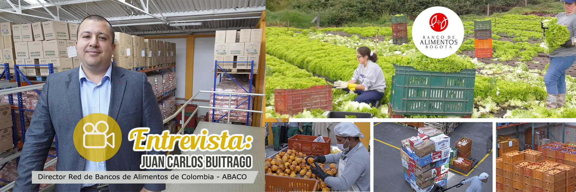 Nueve millones 700 mil toneladas de alimentos se botan al añoen Colombia