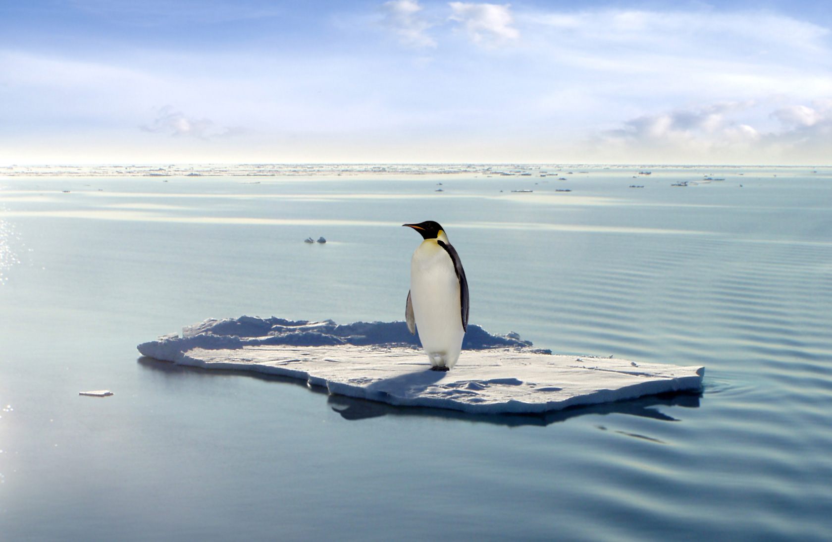Trump le da un portazo al acuerdo de París