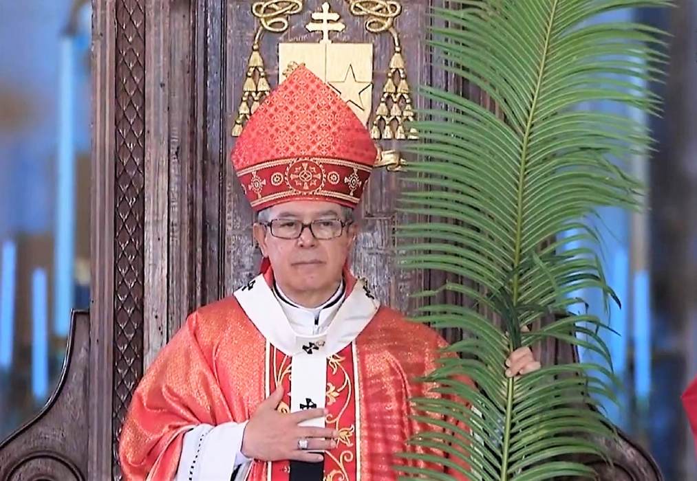 Domingo de Ramos: “Aprendamos el camino del servicio, el perdón y la oración”