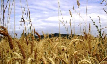 Jesús habla del Reino de los cielos