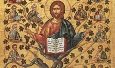 Liturgia mayo 3 Unirnos a Cristo para ser fecundos con Él