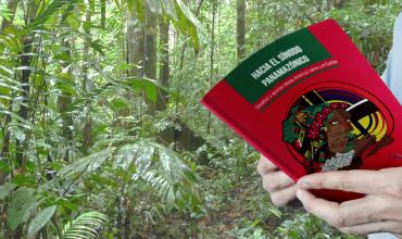 Publicada la lista de participantes del sínodo Panamazónico