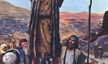 Liturgia Diciembre 7Darnos cuenta de que el Señor ha comenzado a recorrer nuestro camino