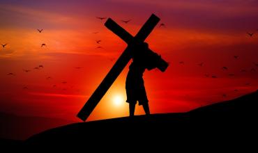 LITURGIA Septiembre 8 De simpatizante a discípulo