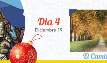 Día 4: El Camino