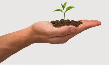 De la Acción Católica a la Pasión Católica