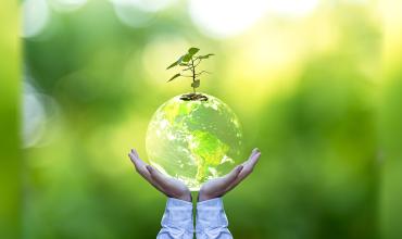 El Vaticano se vuelve libre de plástico, con la inspiración de la encíclica verde del Papa