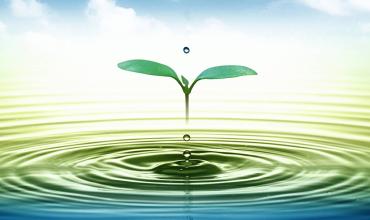 ¡Salvar la creación antes de que sea tarde!