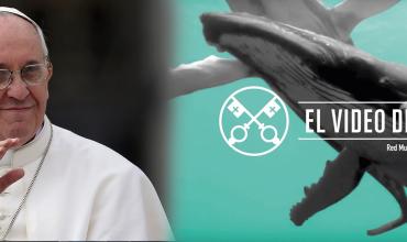 El papa Francisco pide rezar por mares y océanos