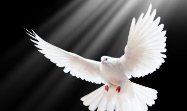 Hoy 8 de junio, estés donde estés, ofrece un minuto por la paz