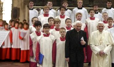 Los gorriones de la catedral de Ratisbona, un caso en investigación