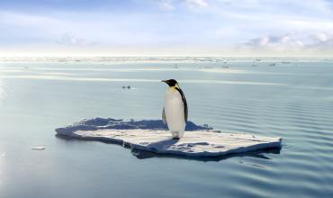 Trump le da un portazo al acuerdo de París