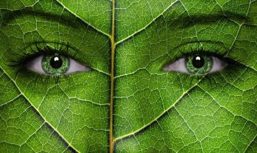 El Celam presentó la Carta Pastoral sobre Ecología Integral