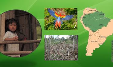 La Amazonia en la Gregoriana: retos y perspectivas para la Casa Común