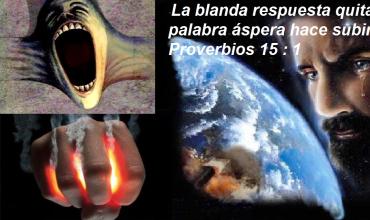 La ira, una noticia cotidiana