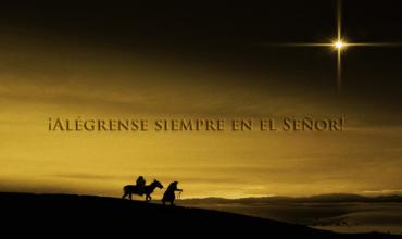 gaudete