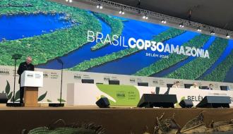 "Si quieres cultivar la paz, cuida la creación".